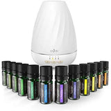 Anjou Aromatherapy Essential Oil & Diffuser Gift Set, 200 mL & Auto Off Humidifier - 7 Color LED Lights