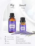 Homasy Lavender Essential Oil, 50ml 100% Pure Natural Essential Oils, Aromatherapy Lavender Oil for Diffuser