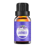 Homasy Lavender Essential Oil, 50ml 100% Pure Natural Essential Oils, Aromatherapy Lavender Oil for Diffuser