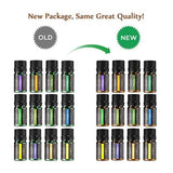 Anjou Essential Oils Set, Top 12 100% Pure Aromatherapy Scented Oil Kit, 12 x 5 ml