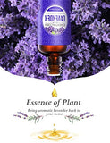 Homasy Lavender Essential Oil, 50ml 100% Pure Natural Essential Oils, Aromatherapy Lavender Oil for Diffuser