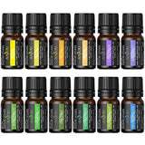 Anjou Essential Oils Set, Top 12 100% Pure Aromatherapy Scented Oil Kit, 12 x 5 ml